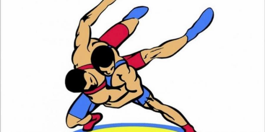 Турнир по вольной борьбе среди школьников