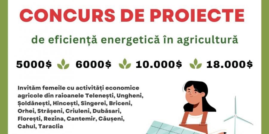 UDNP